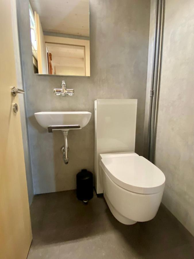 Chalet Egglen "Typical Swiss House, Best Views, Private Jacuzzi" Зигрисвиль Экстерьер фото