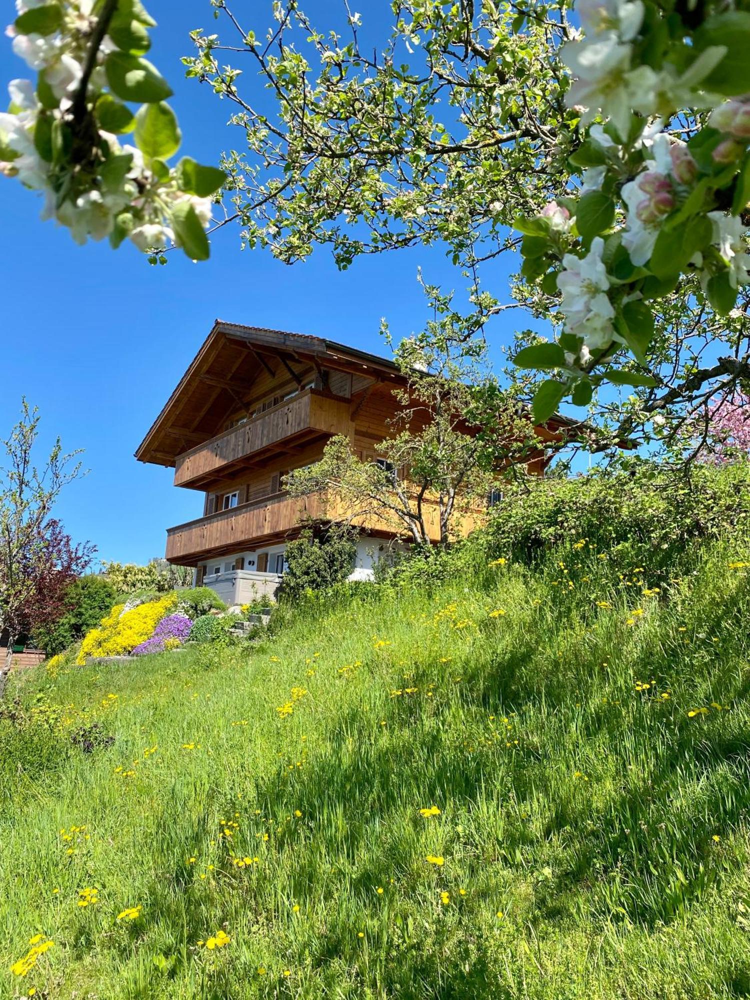 Chalet Egglen "Typical Swiss House, Best Views, Private Jacuzzi" Зигрисвиль Экстерьер фото
