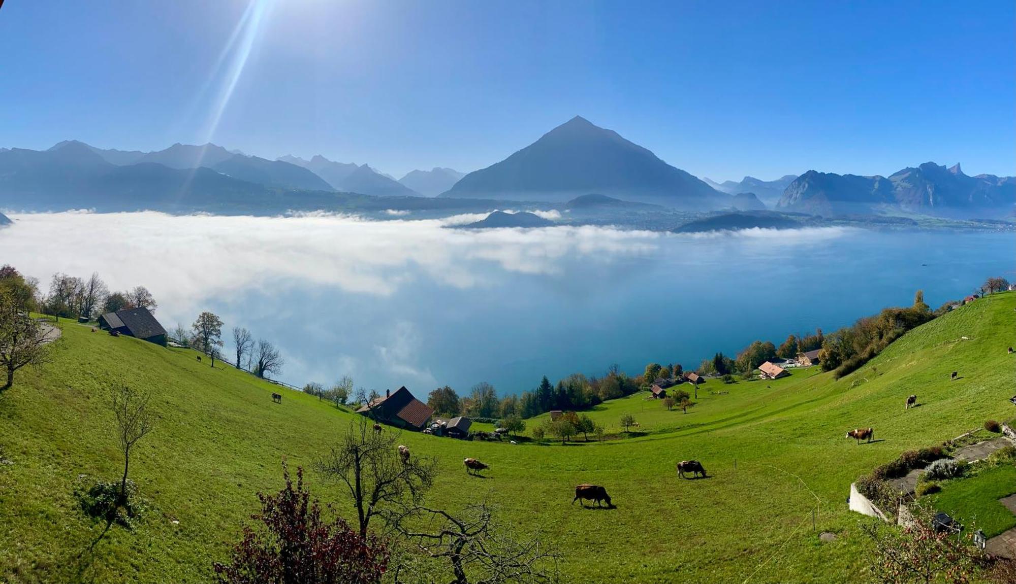 Chalet Egglen "Typical Swiss House, Best Views, Private Jacuzzi" Зигрисвиль Экстерьер фото