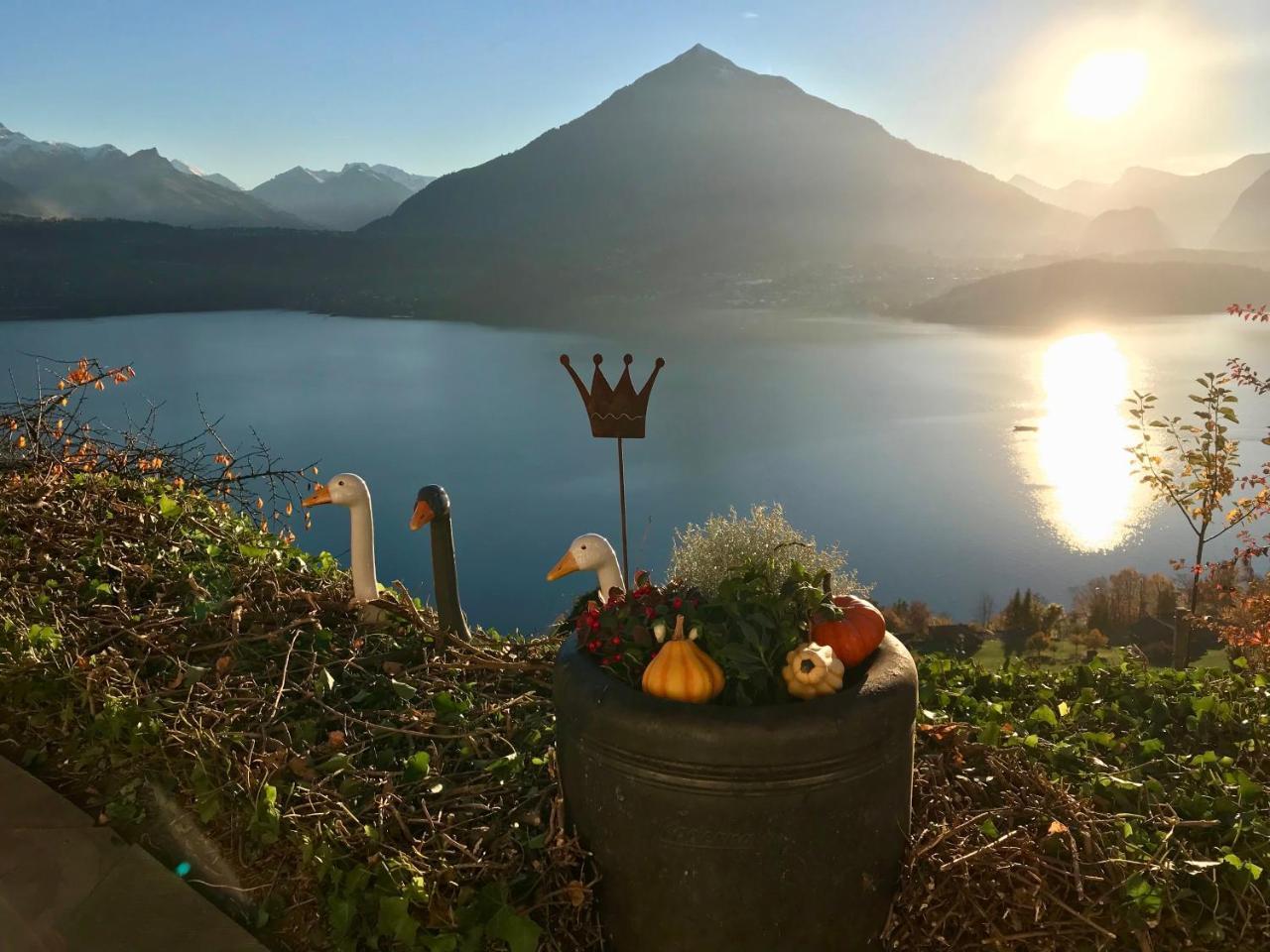 Chalet Egglen "Typical Swiss House, Best Views, Private Jacuzzi" Зигрисвиль Экстерьер фото