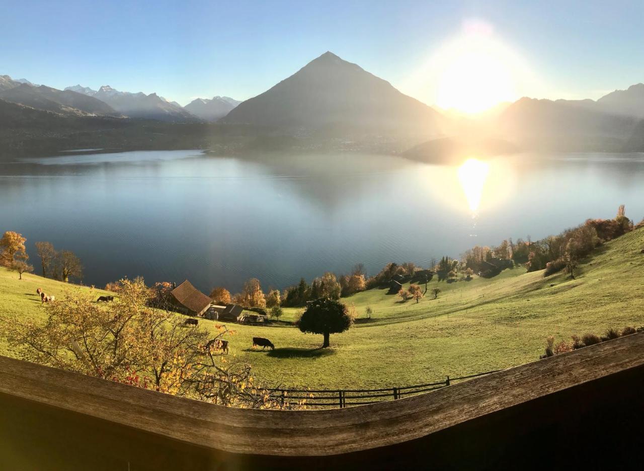 Chalet Egglen "Typical Swiss House, Best Views, Private Jacuzzi" Зигрисвиль Экстерьер фото