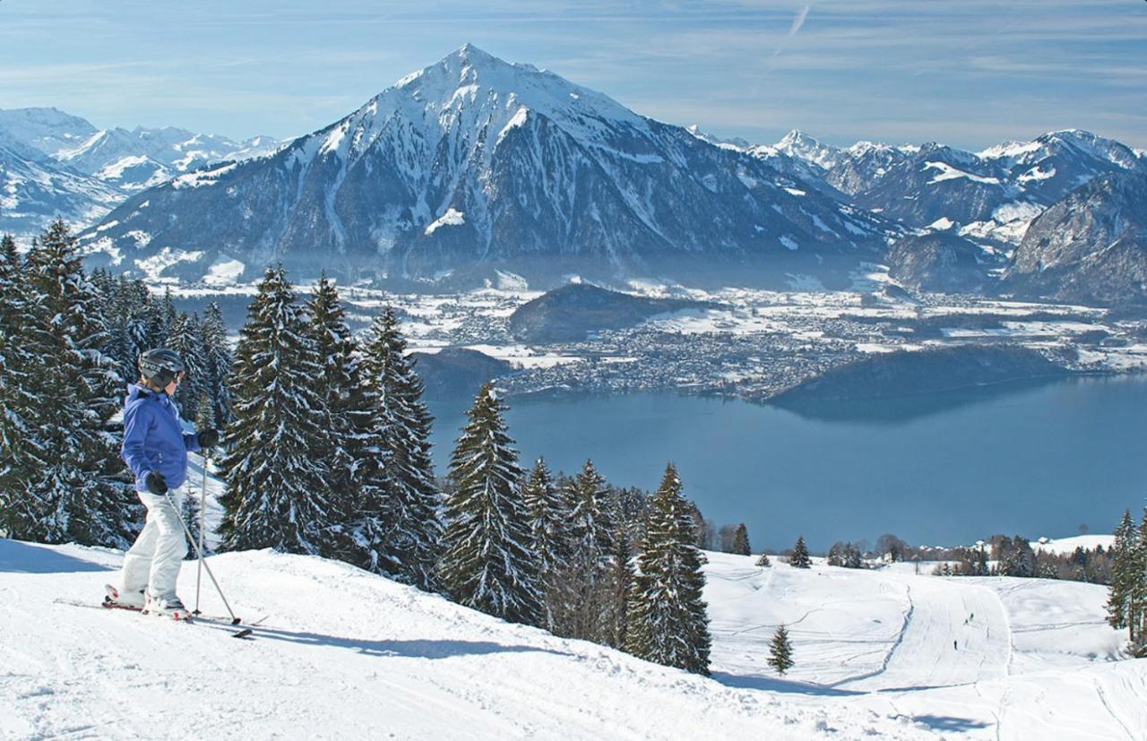 Chalet Egglen "Typical Swiss House, Best Views, Private Jacuzzi" Зигрисвиль Экстерьер фото