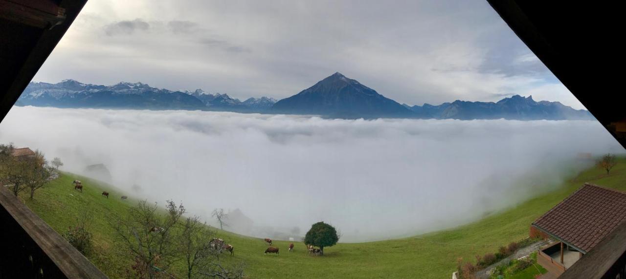 Chalet Egglen "Typical Swiss House, Best Views, Private Jacuzzi" Зигрисвиль Экстерьер фото
