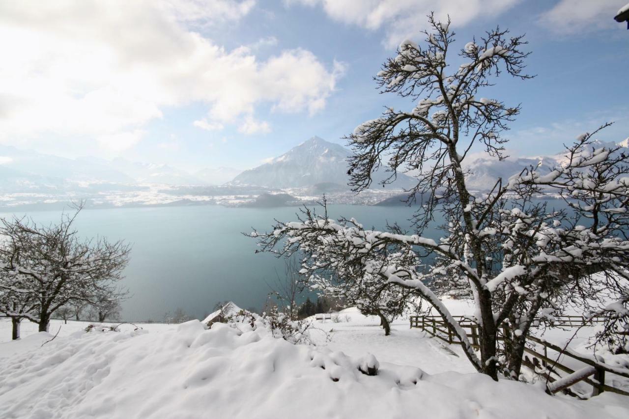 Chalet Egglen "Typical Swiss House, Best Views, Private Jacuzzi" Зигрисвиль Экстерьер фото