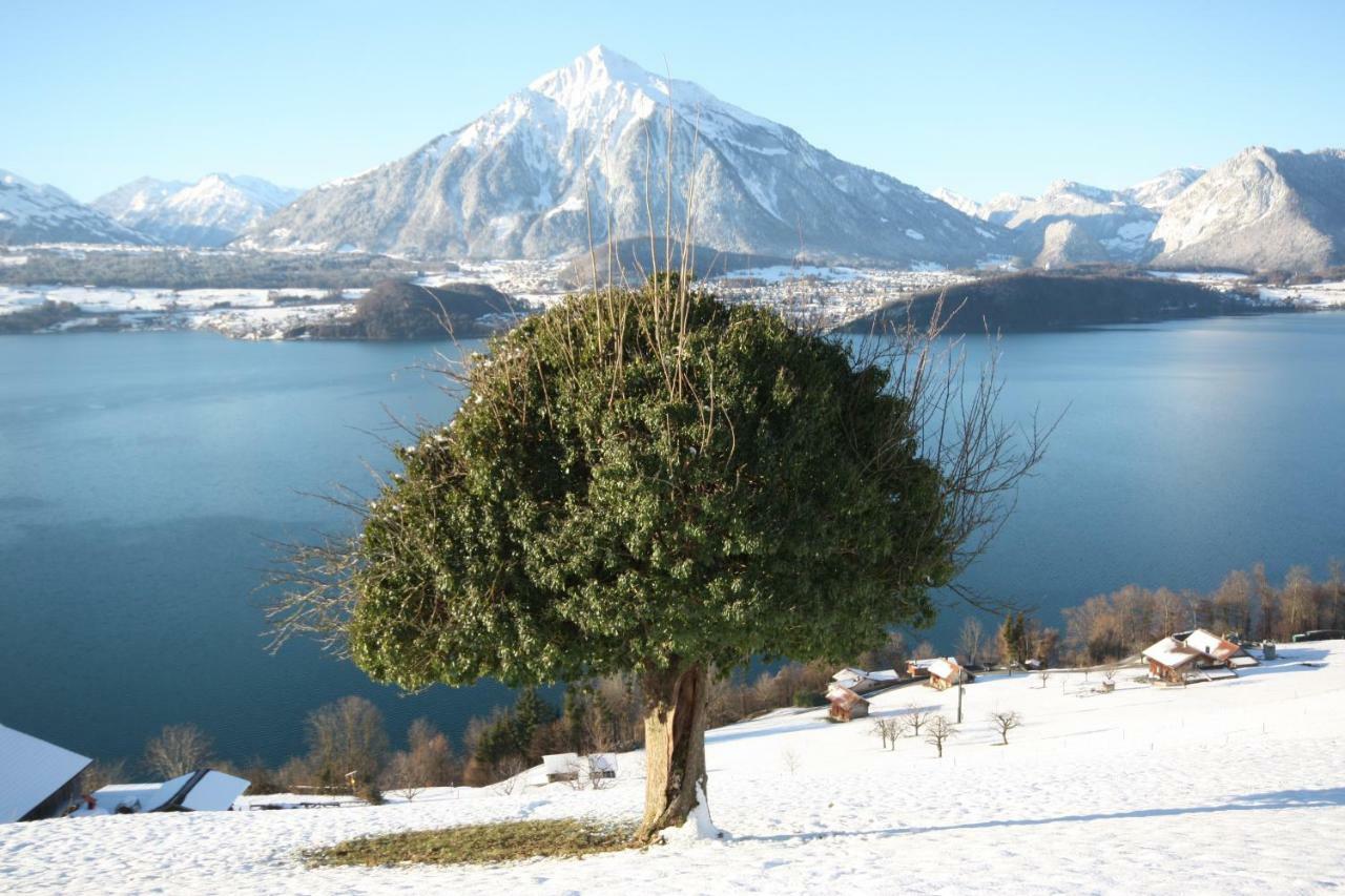 Chalet Egglen "Typical Swiss House, Best Views, Private Jacuzzi" Зигрисвиль Экстерьер фото
