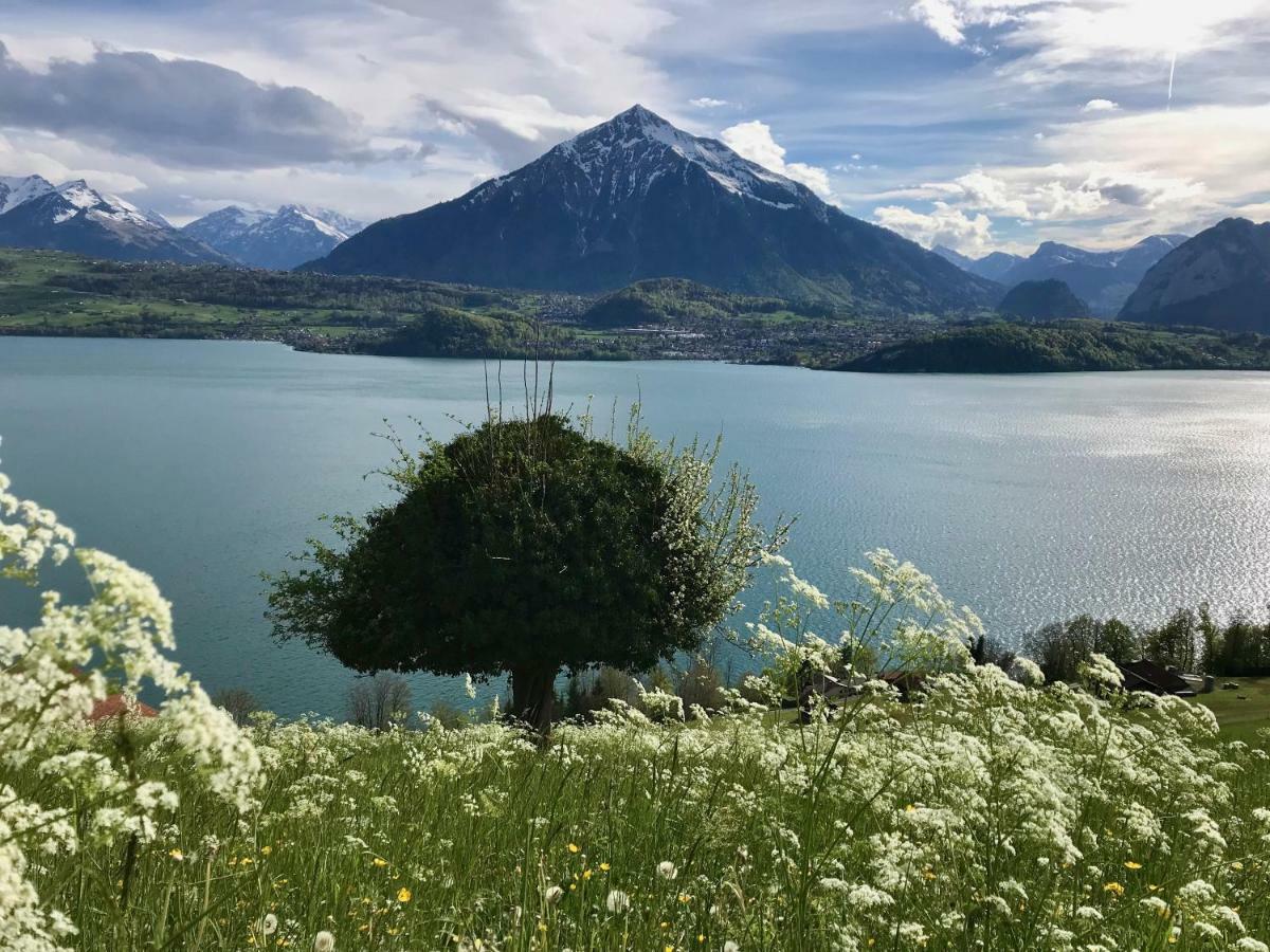 Chalet Egglen "Typical Swiss House, Best Views, Private Jacuzzi" Зигрисвиль Экстерьер фото